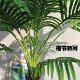 High-end simulated green plants, large coconut trees, loose-tailed sunflowers, landscape, commercial shop windows, conference room decoration trees