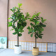 High-end Nordic style floor-standing floral tea room simulation plants