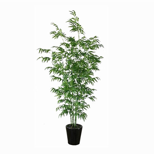 仿真竹子植物假金丝四季紫竹树装饰加密造景绿植客厅橱窗屏风装饰 - 图3