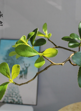 高端仿真绿植物茶室禅意中式摆件