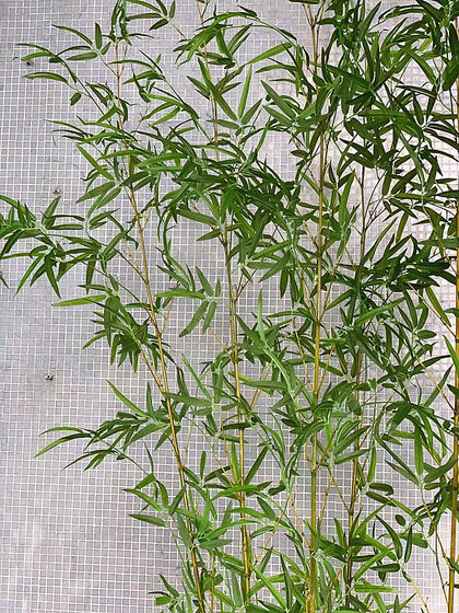 High-end simulated purple and green bamboo Zen window decorations