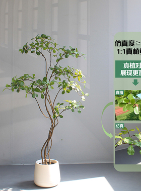 比美工艺品榄仁树高端仿真绿植物