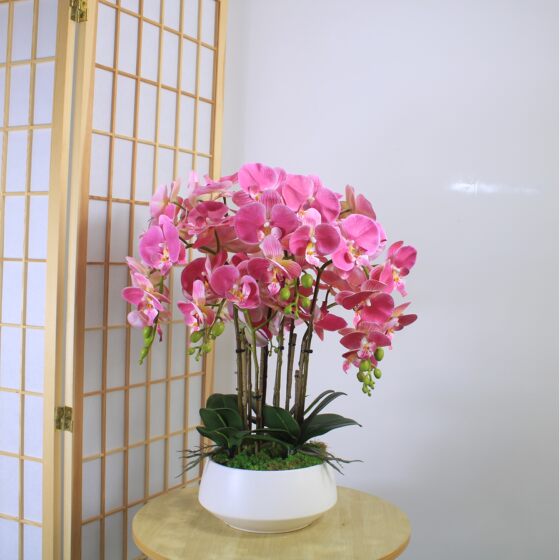 High-end simulated Phalaenopsis bonsai 3D printed petals