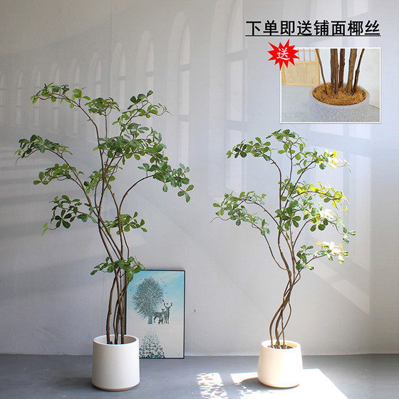 Bimei Crafts Terminalia tree high-end simulated green plants