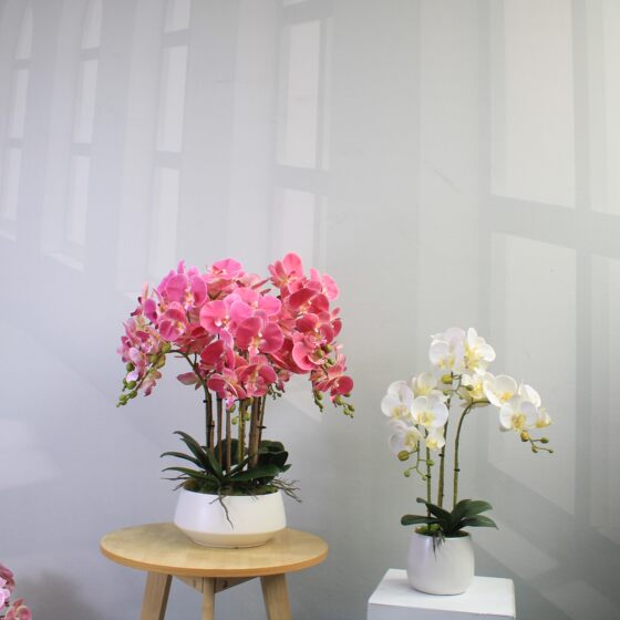 High-end simulated Phalaenopsis bonsai 3D printed petals
