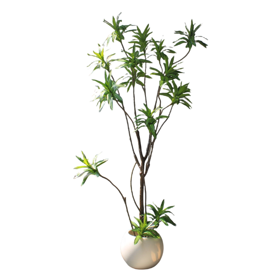 High-end simulated green plant old pile lily bamboo bonsai tree