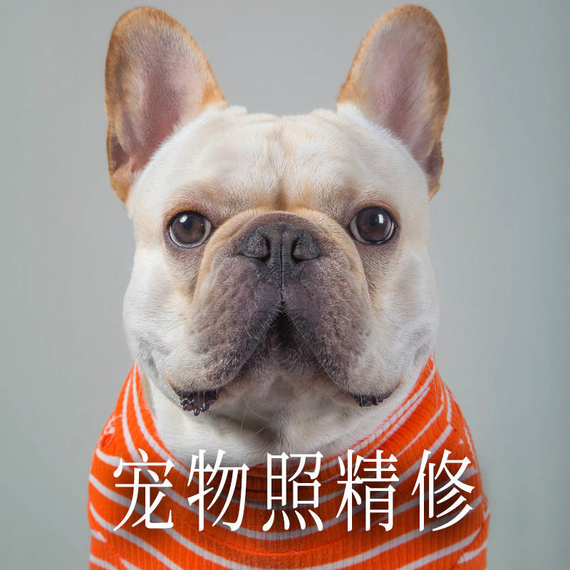 动物修图 新人首单立减十元 21年9月 淘宝海外