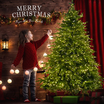 Christmas tree Home Children 2023 new Korean High Sensation Large Pendulum NAKED TREE DECORATIONS INS WINDNETS RED