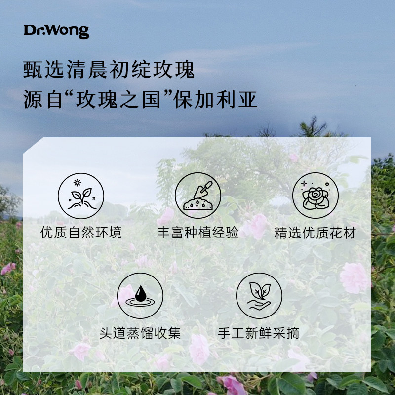 Dr.Wong玫瑰纯露花苞水补水保湿护肤喷雾可湿敷爽肤水官方旗舰店,淘宝优惠券,粉丝福利购,淘宝优惠卷