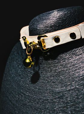 【高品质】牵引绳项链情调sm项圈女链条调教狗链颈环choker