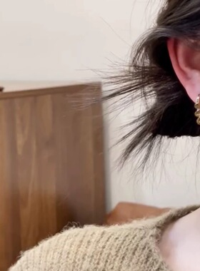 精致超闪咖色闪钻流苏耳环女2025新款爆款耳钉独特漂亮高级感耳饰