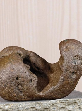 天然小石头奇石玉石盆景石鱼缸石黄蜡石把玩石龟晒石小摆件石孤品