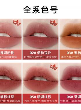 泥潮平价MKING哑光雾面丝绒豆沙 蜜桔PRETTY釉唇学生粉桃红棕色唇