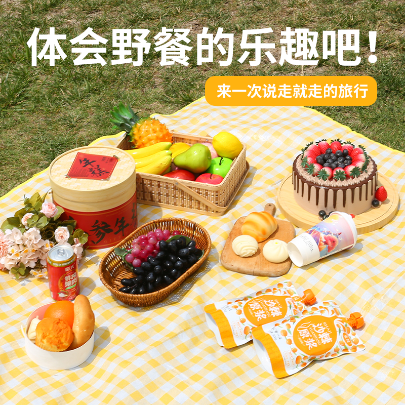 野炊野营帐篷地垫坐垫防水草坪垫子便携折叠野餐垫防潮垫加厚户外