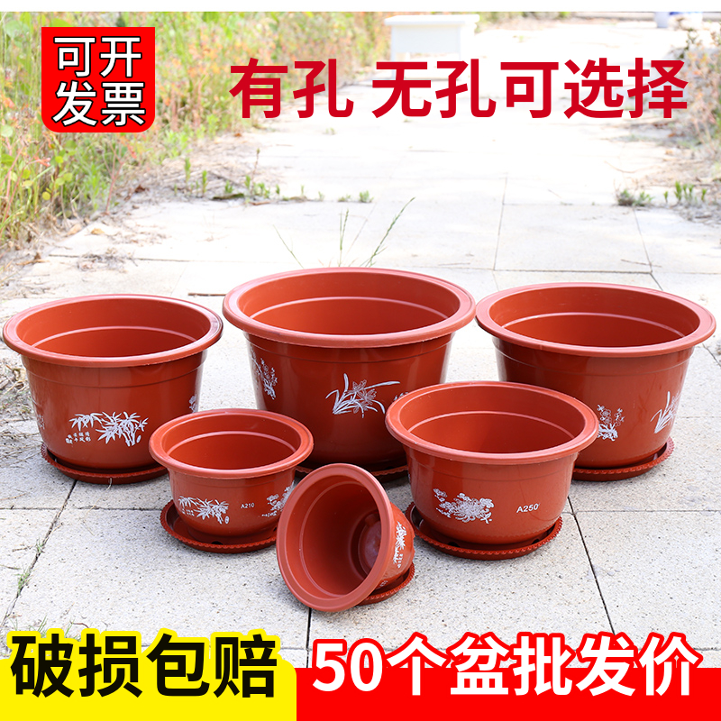 塑料花盆睡莲无孔有孔耐用碗莲绿萝育苗盆低价促销处理加厚特大号