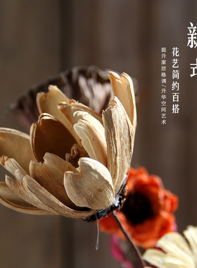 云南干花经久耐用测试推荐