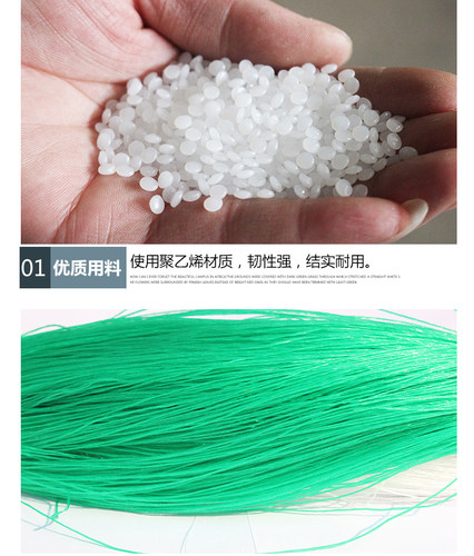 沃柑撑果网砂糖橘柑橘桔果树撑果网吊果网挂果网农用爬藤网种植网 - 图0