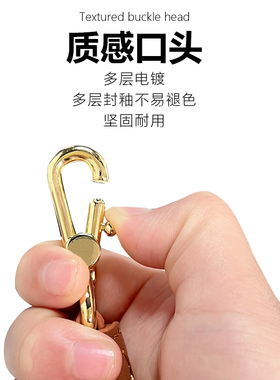 适用珑骧LONGCHAMP迷你彩色包带
