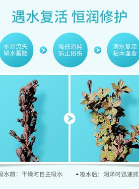 荣晟复活草虾青素面膜补水保湿熬夜舒缓透明质酸钠保湿护肤贴02