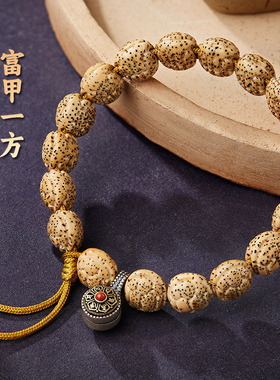 星月菩提龟甲手串男原生态高密文玩佛珠南红玛瑙盘玩念珠手串把件