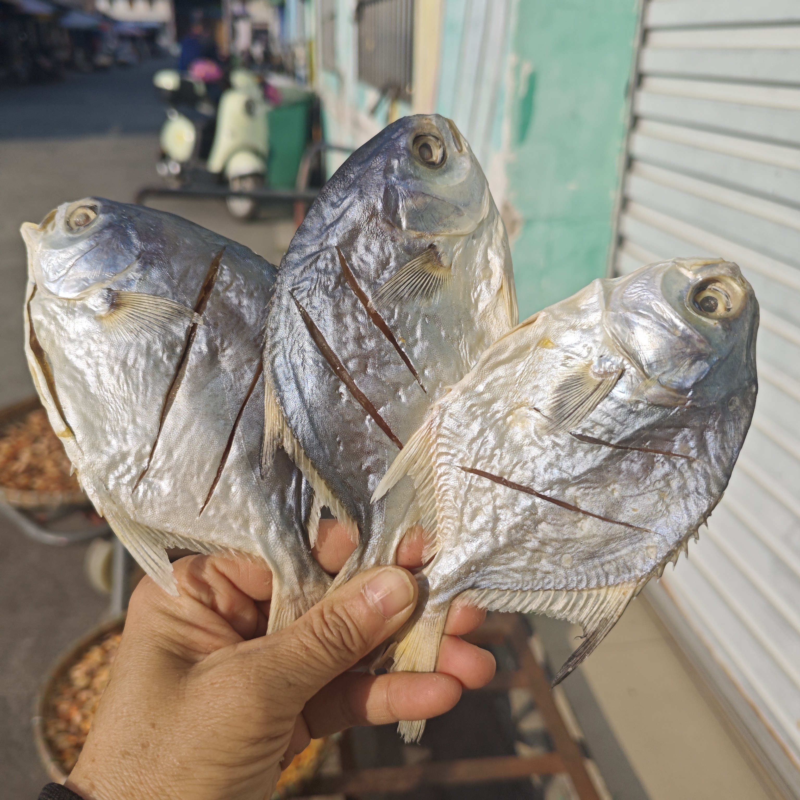 小金鲳鱼干广西北海渔民自晒海鱼干新鲜干净去内脏肉质结实干货,淘宝优惠券,粉丝福利购,淘宝优惠卷