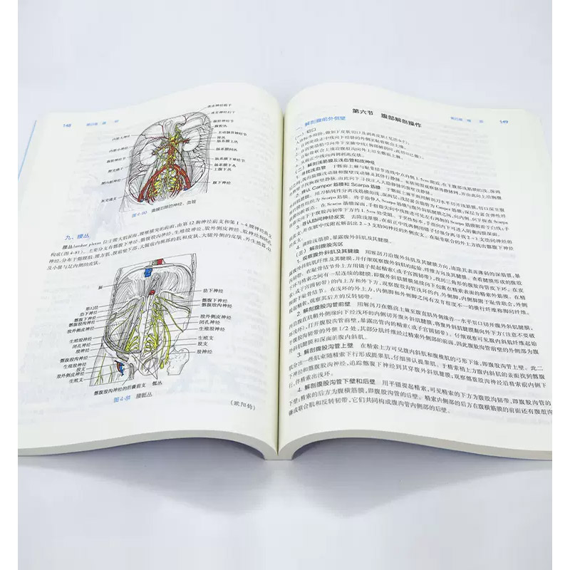 局部解剖学第9九版人卫本科西医临床第九轮五年制第八版升级药理学生理学病理学内科学系统解剖学大学教材书籍人民卫生出版社考研-图3