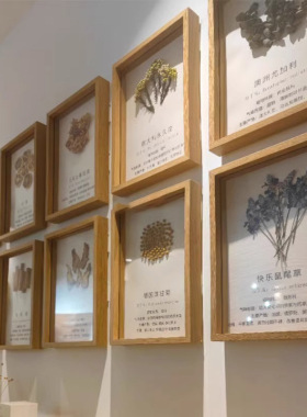 纯手工植物标本DIY装饰画