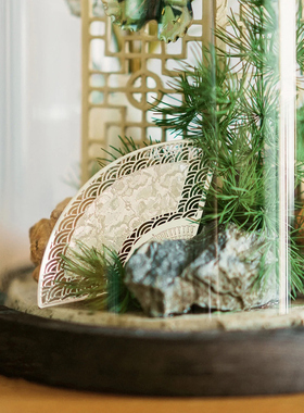 玻璃罩微景观摆件永生花植物标本透明陈列展示盒装饰摆台DIY礼物