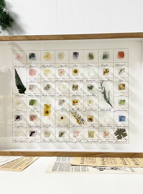 立体相框滴胶植物标本立体相框