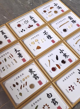二十四节气中医药标本装饰画