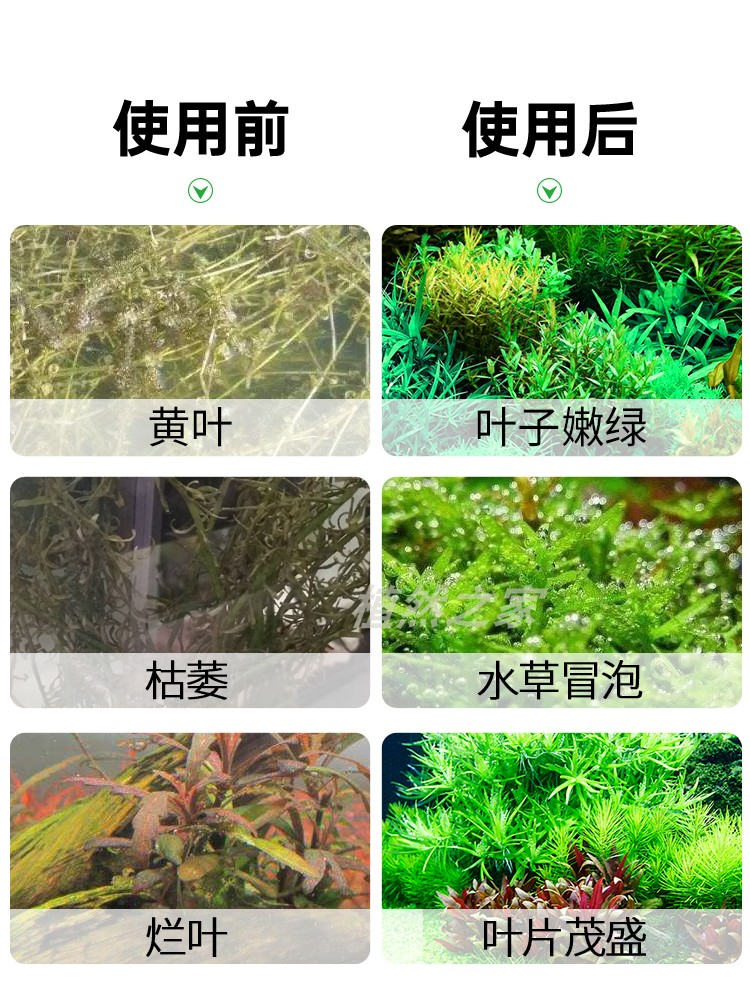 二氧化碳钢瓶套装山东建设草缸co2气瓶发生器减压表牧梵细化器片-图2