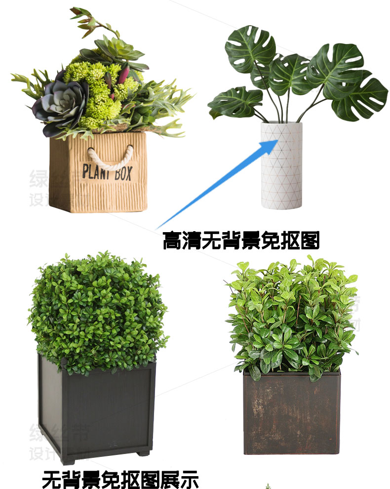 procreate绿植盆栽盆景ps素材花盆高清室内景观植物设计免抠图png - 图2