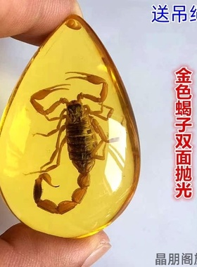 小动物琥珀昆虫标本树脂