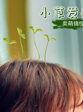神器小草发夹搞怪豆苗小花豆芽头上长草发芽饰品小鸡发夹稀奇古怪