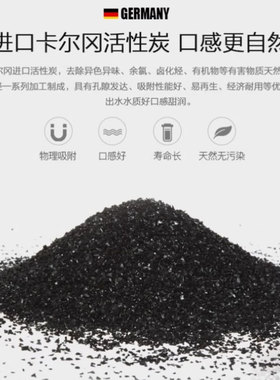 德国进口无盐软水机别墅软净一体