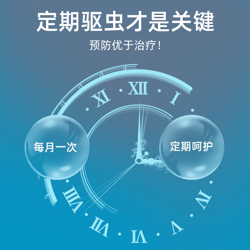 狗狗体内驱虫药打虫药片体内外一体幼犬猫咪驱虫阿苯达唑片宠物用