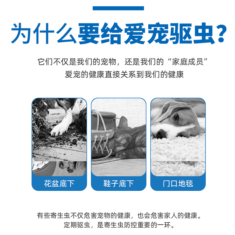 狗狗体内驱虫药打虫药片泰迪犬用体内外一体幼犬小型犬宠物除虫药