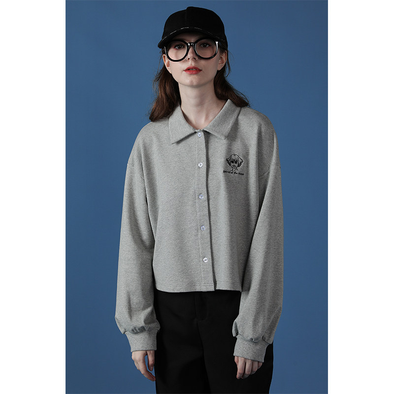 2020新款灰色高腰短款宽松bf风卫衣 佐贝卡卫衣/绒衫