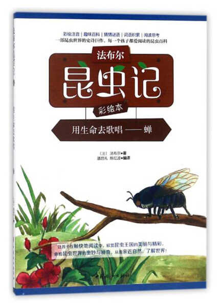 法布尔蝉 新人首单立减十元 21年8月 淘宝海外