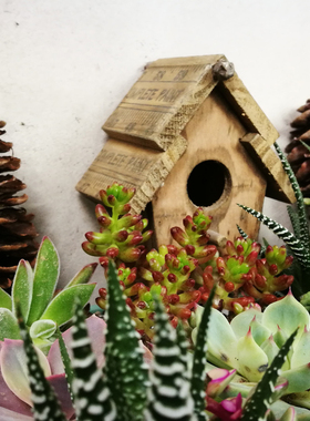 鸟屋庭苑瑕疵四款一组处理摆件