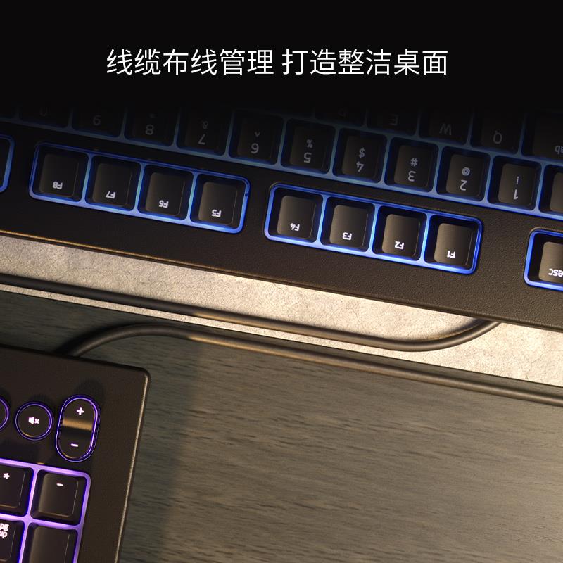 罗技雷蛇Razer雷蛇萨诺狼蛛V2幻彩背光RGB电竞游戏办公键盘鼠标套 - 图2