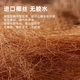 Mousse spring natural coconut palm firm spine mattress