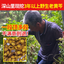 Grandpa Deep Mountain pure wild Baikal skullcap 500g Chinese herbal medicine powder root slice yellow harmonica dacia tea gentian Gardenia Gardenia