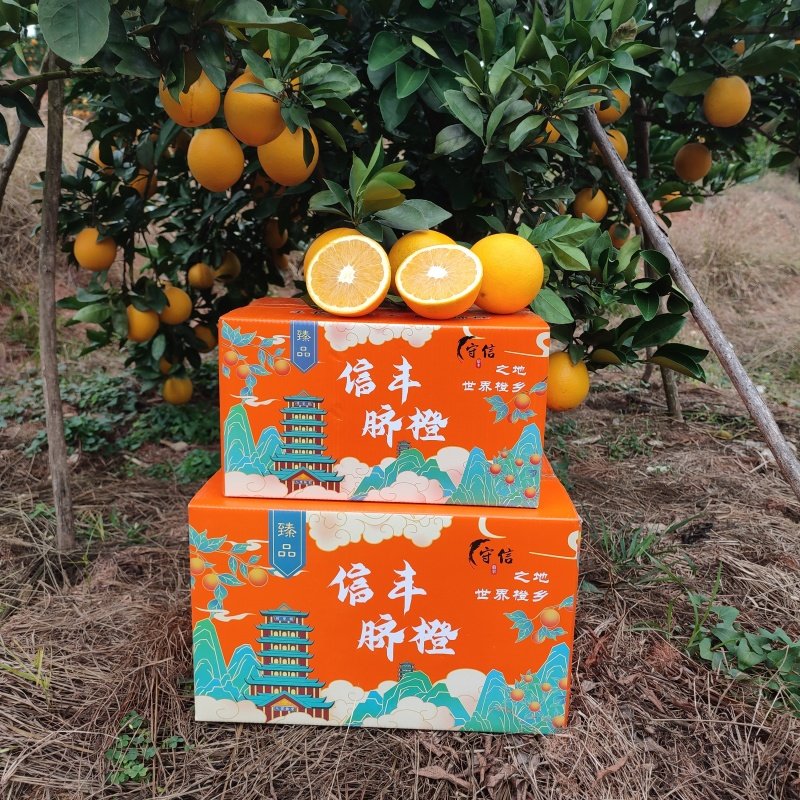 正宗江西赣南信丰脐橙新鲜橙子10斤当季孕妇水果产地果园直发包邮,淘宝优惠券,粉丝福利购,淘宝优惠卷