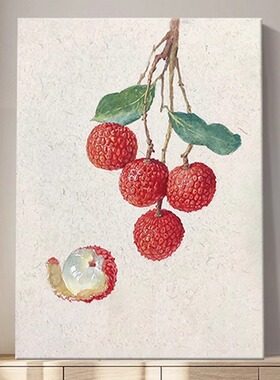 纯手绘油画简约荔枝图装饰画客厅大吉大利玄关肌理画写实挂画