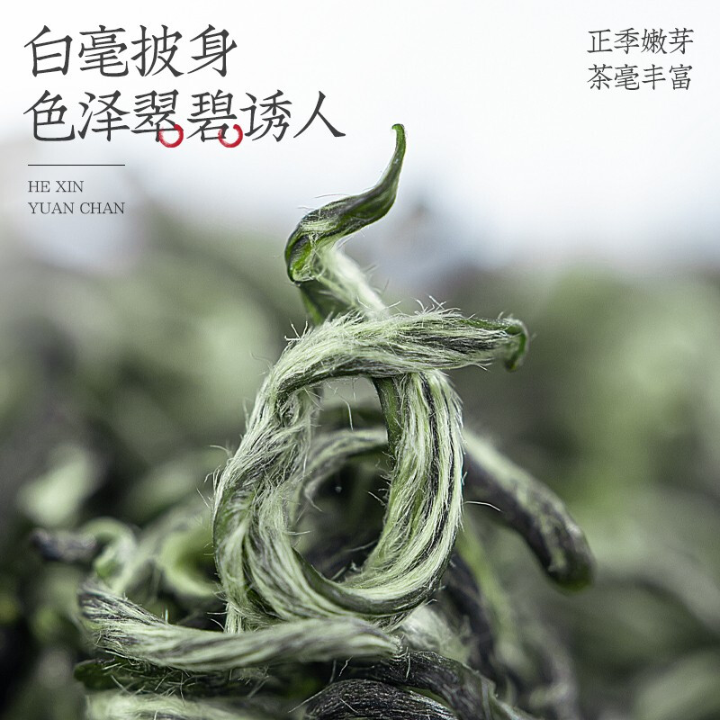 贵州都匀毛尖茶2024新茶特级明前春茶浓香型绿茶散装袋装茶叶500g