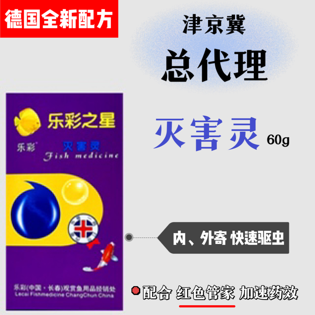 乐彩全系列七彩神仙鱼内外寄交叉感染肠炎体黑鳃虫鱼肤净肠炎宁 - 图2