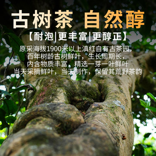 新茶云南滇红茶叶特级古树经典58功夫红茶凤宁号云南凤庆蜜香型 - 图2