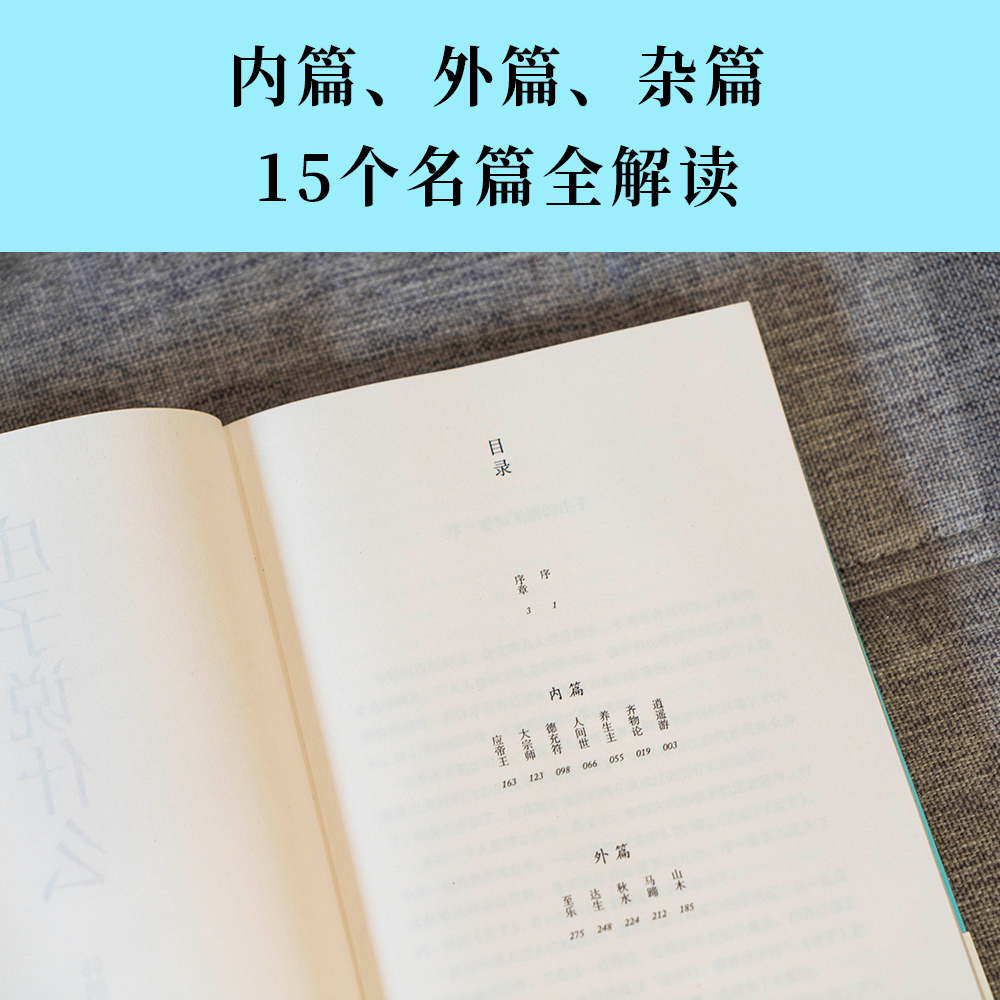 庄子说什么 韩鹏杰 庄子思想 道家作品解读 樊登作序推荐 中国人对生命自由的共同追求 安顿身心 果麦出品 - 图3