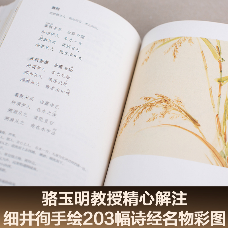 诗经(全三册) 风雅颂 全彩插图 韩寒推荐 注释注音 收录全篇305首 中国古代诗歌 国学启蒙 果麦图书 - 图1